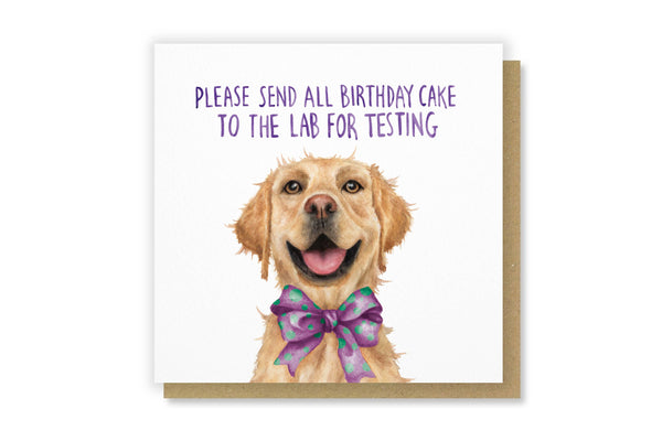 Send all cake to the labrador for testing birthday card