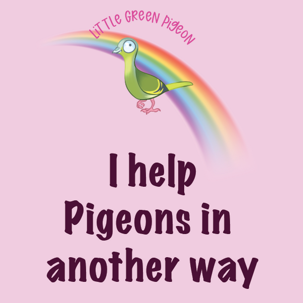 HARPERS FUND REHABILITATION PROGRAMME for pigeon carers in the UK