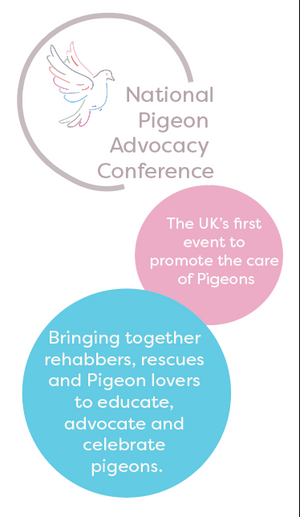 Registration - National Pigeon Advocacy Conference