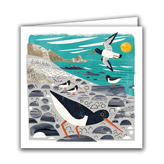 Silver Birch Cards - Blank Greeting Card - ''Oystercatchers"