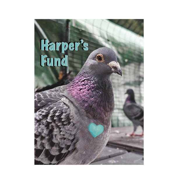 Harpers Fund