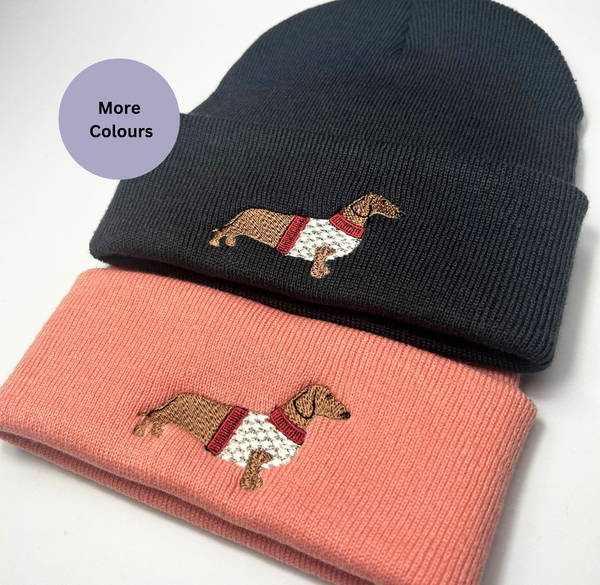 Dachshund in a jumper Beanies - Brown dog , Cream and Red jumper